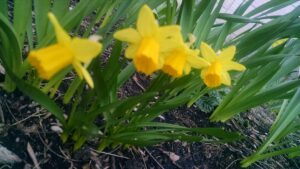 IMG_20150412_083157947